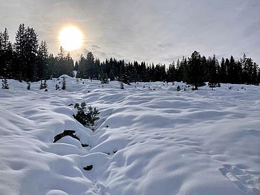 Winterstimmung in Hochkrimml