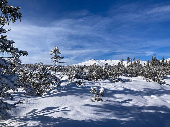 Winter in Hochkrimml