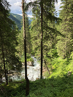 Wildgerlostal