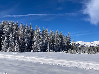 Höhenloipe in Hochkrimml