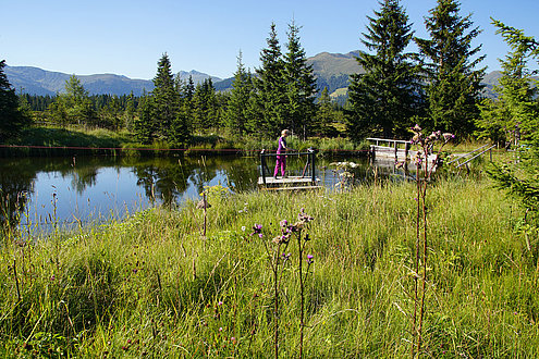 Hochmoor auf der Gerlosplatte